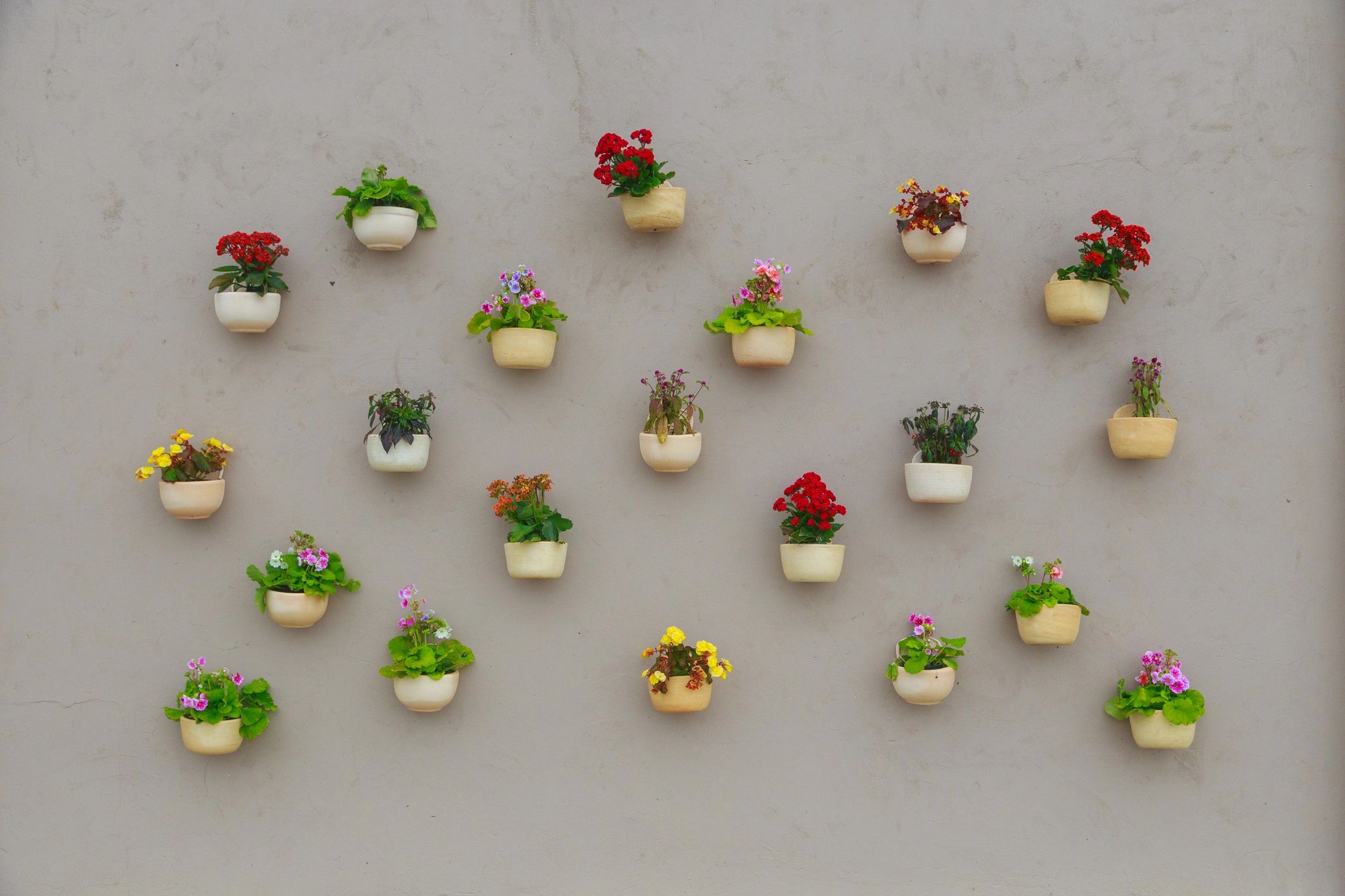 Decorative wall of colorful hanging pots