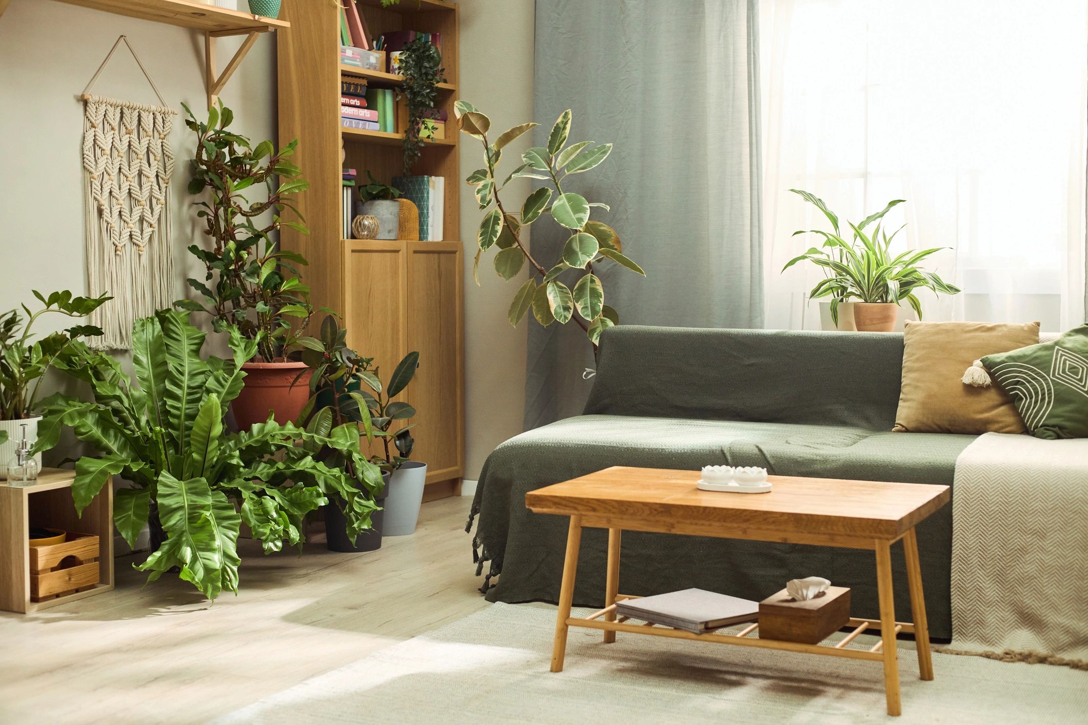 Modern living room styled with indoor plants and natural decor